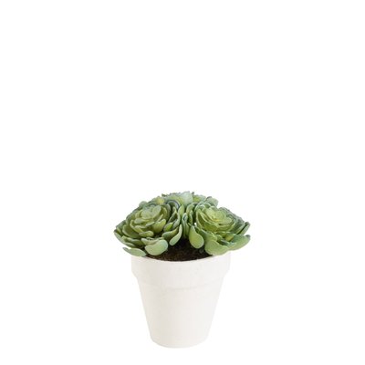 Succulente echeveria en pot artificielle H15 SIA DECO