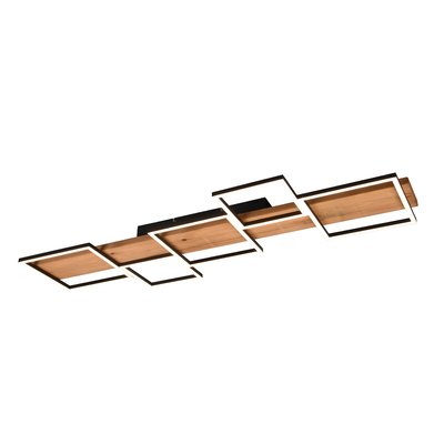 Candeeiro de teto Harper, TRIO Lighting TRIO LIGHTING