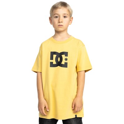 T-shirt. DC SHOES