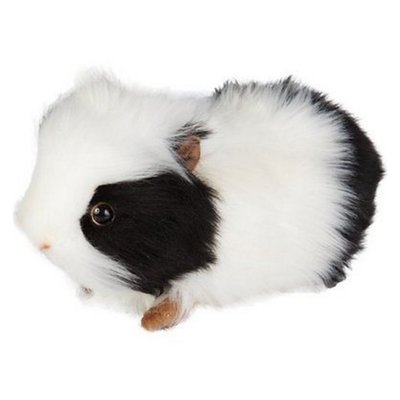 Cobaye Noir et blanc 20cm HANSA