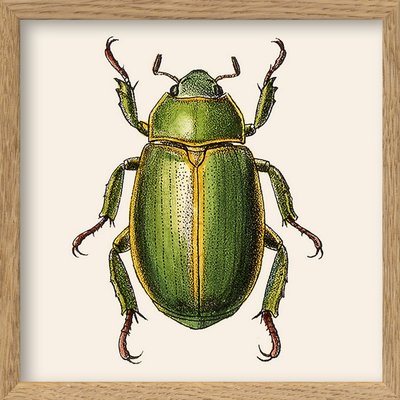 Petit tableau scarabée  Green Insect THE DYBDAHL CO