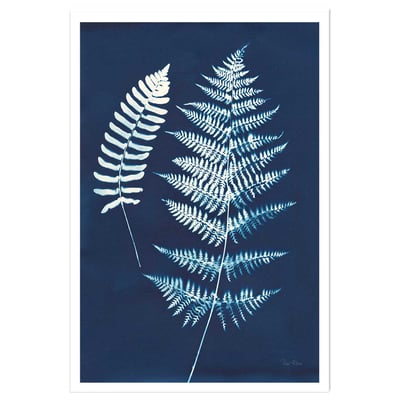 Affiche Duo fougères bleues HEXOA