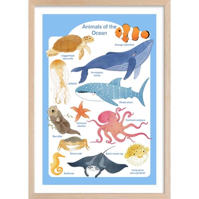 Affiche enfant animaux marins HEXOA