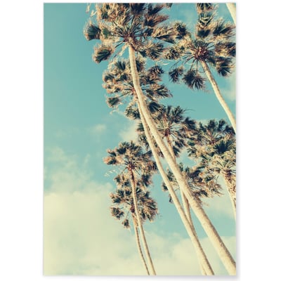Poster Palm Trees 7 L'AFFICHERIE