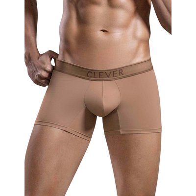 Boxer Britanica CLEVER