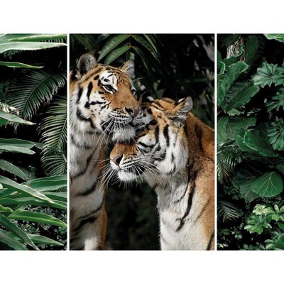 Triptyque sur toile couple de tigres 125x97 cm CEANOTHE