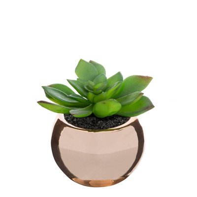 Plante artificielle ATMOSPHERA