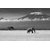Tableau Alu Dibond