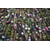 Tableau Alu Dibond