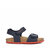 Navy blue/red