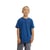 Bleu Ensign Blue