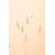 Tableau Alu Dibond