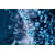 Tableau Alu Dibond