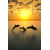 Tableau Alu Dibond
