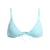 Bleu Tanager Turquoise