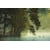 Tableau Alu Dibond
