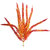 Rouge-Orange