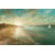Tableau Alu Dibond