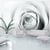 Gris / Argent