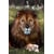 Tableau Alu Dibond