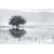 Tableau Alu Dibond