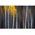 Tableau Alu Dibond