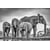 Tableau Alu Dibond