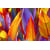 Tableau Alu Dibond