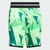 Green Spark / Black