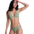 Vert Oil Green Say It With Stripes