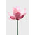 Tableau Alu Dibond