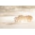 Tableau Alu Dibond