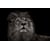 Tableau Alu Dibond