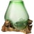 Vert Transparent Et Bois Naturel