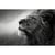 Tableaux Sur Toile-Noir & Blanc