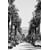 Tableau Alu Dibond
