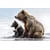 Tableau Alu Dibond