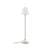 Pantone (13-1308 Tpg), Blanc