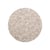 Sea Shell