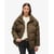 Marron Chaud