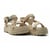 Beige Foncé