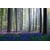 Tableau Alu Dibond