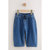 Rayures Bleu Foncé