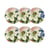 Blanc-Bleu-Rouge-Vert