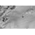 Tableau Alu Dibond