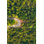 Tableau Alu Dibond