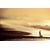 Tableau Alu Dibond