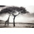 Tableau Alu Dibond