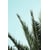 Tableau Alu Dibond