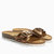 Bronze